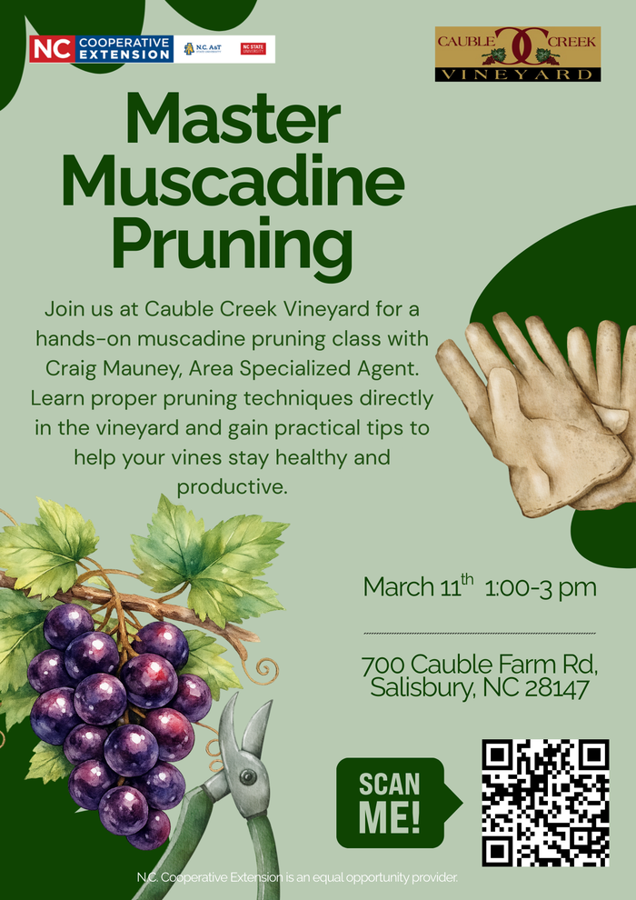 Flyer for muscadine pruning class on March 11th 2026