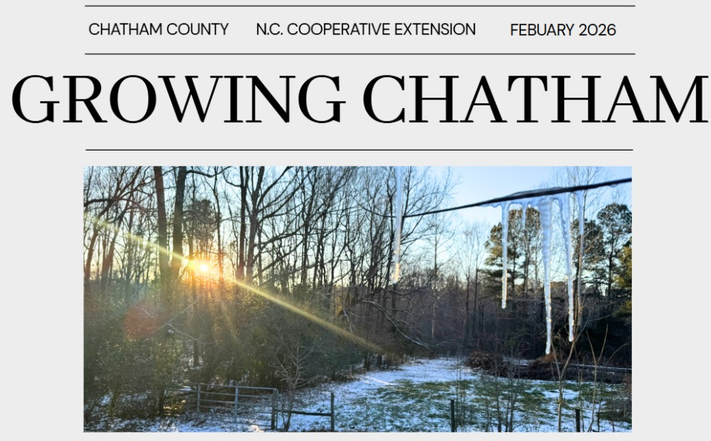 A cold and icy winter day in February. 