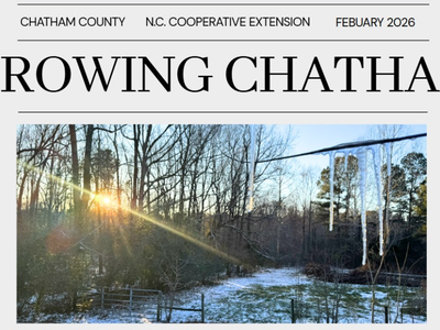 A cold and icy winter day in February.