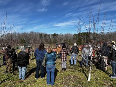 Group of people standing among leafless orchard trees during outdoor demonstration