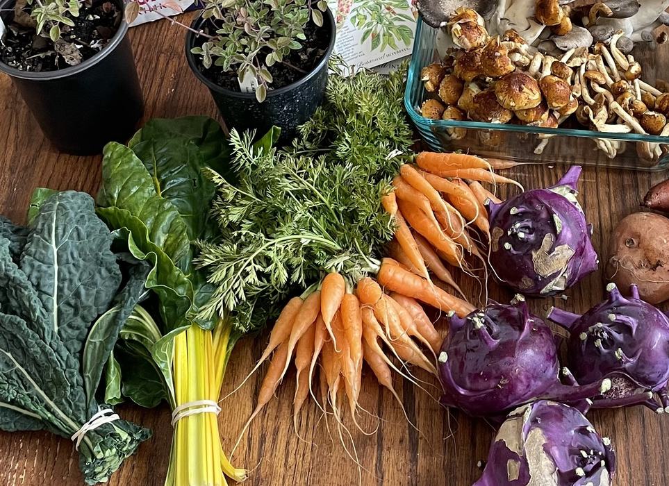 variety of winter vegetables