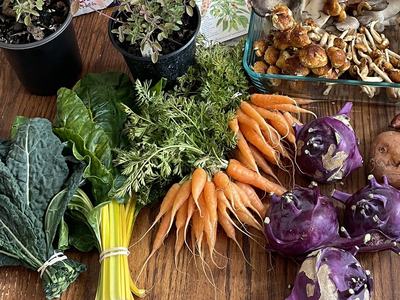 variety of winter vegetables