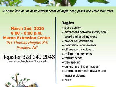 Fruit Trees Flyer