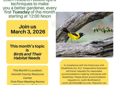 Lunch & Learn, March 3, 2026; topic: Birds and Their Habitat Needs. Yellow-black bird on branch