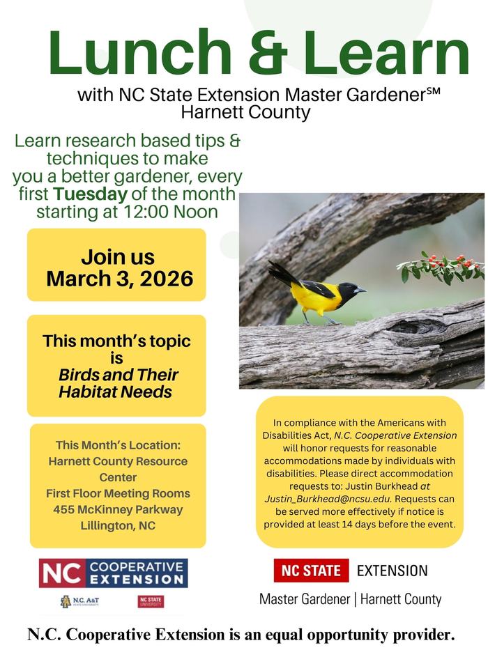 picture of flyer info on page