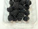 Plastic container of blackberries on paper labeled "Plot 123 NC 740 7/10/23"
