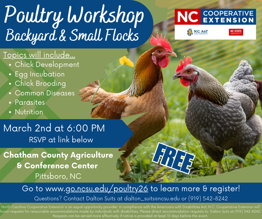 Poultry workshop flyer