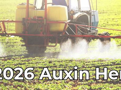 Tractor spraying a field