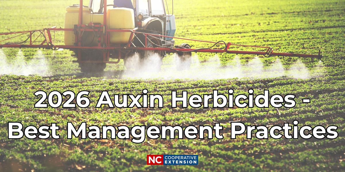 Tractor spraying a field