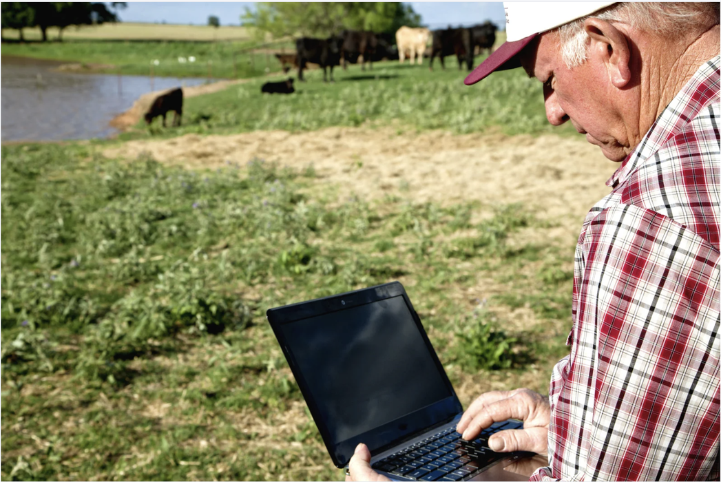A farmer working on his computer used an example to show the use of AI in local food work.