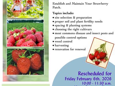 Rescheduled Strawberry Workshop