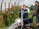 Electrical and computer engineering students Luke Holt (left) and Raul Hernandez demonstrate their prototype for a tomato-harvesting robot as N.C. Makerspace Director Andrea Monteza looks on.