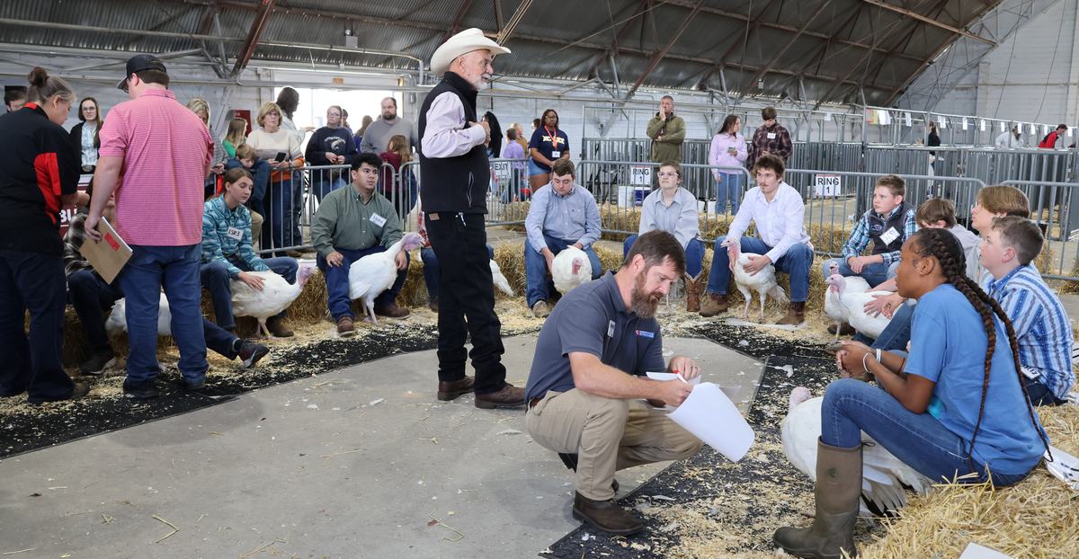 turkey show