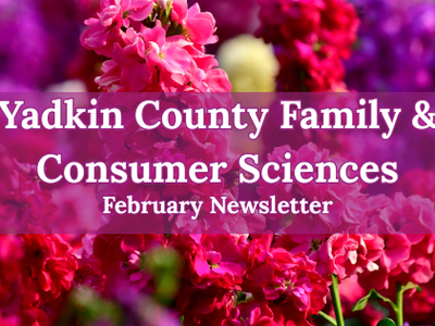 Yadkin and Consumer Sciences with flower background