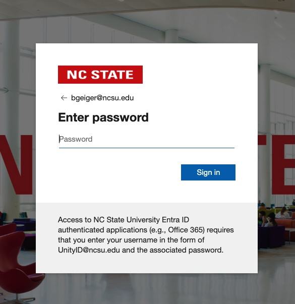 Screenshot of Single Sign On password entry for Canva