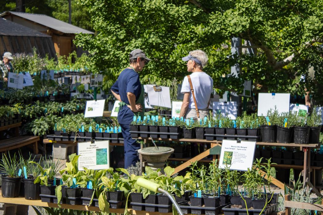2026 Plant Sale Volunteers