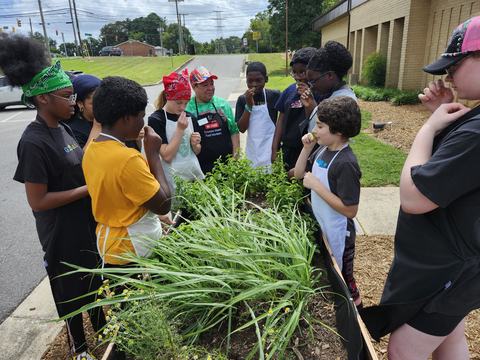 Many youth stand around a raised garden bed tasting selected herbs.