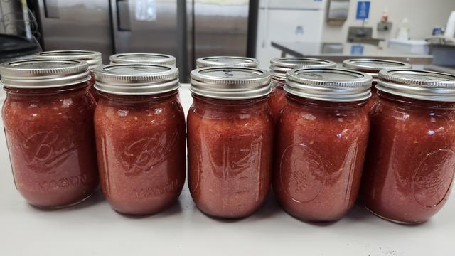 Two rows of freshly canned tomato sauce displayed on a metal table.