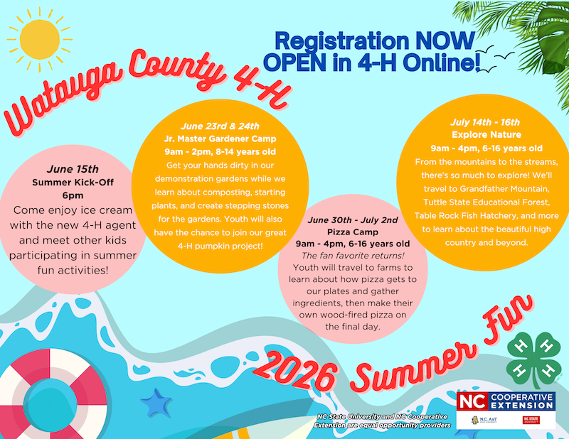 cartoon beach scene with summer camp descriptions