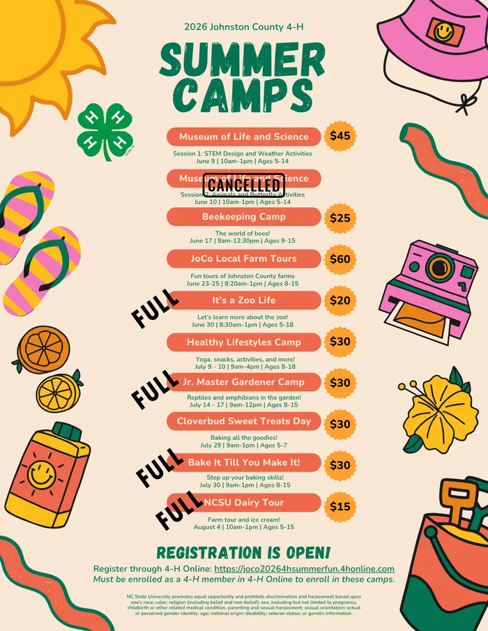Updated 2026 4-H Summer Fun Flyer