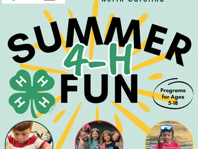4-H Summer Fun Title with three thumbnail images: 1. child cutting strawberry, 2. four girls smiling together, 3. boy standing in creek looking at fish in observation tank.