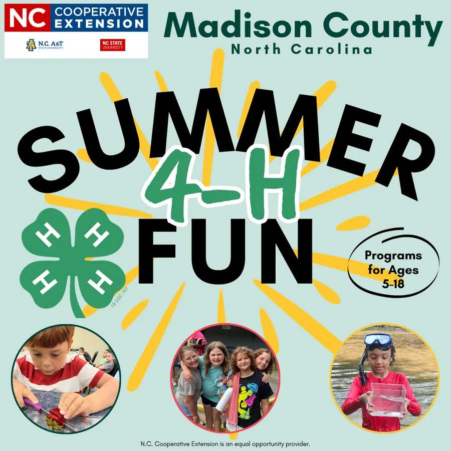 4-H Summer Fun Title with three thumbnail images: 1. child cutting strawberry, 2. four girls smiling together, 3. boy standing in creek looking at fish in observation tank.