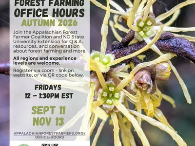 Flier for Appalachian Forest Farmer Coalition and NC State University Extension Forest Farming Office Hours. Held on September 11 and November 13, 2026 from 12 to 1:30 PM EST. Q&A, resources, and conversation about forest farming. Held on Zoom.
