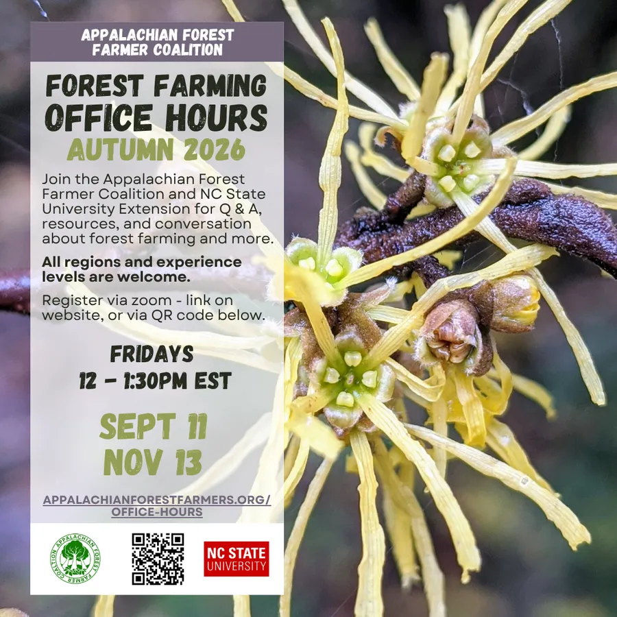 2026 Fall Forest Farming Office Hours flier