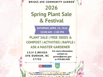 Flyer for Briggs Garden Spring Festival and Plant Sale. Featuring a plant sale, free seeds and compost, activities and a raffle.