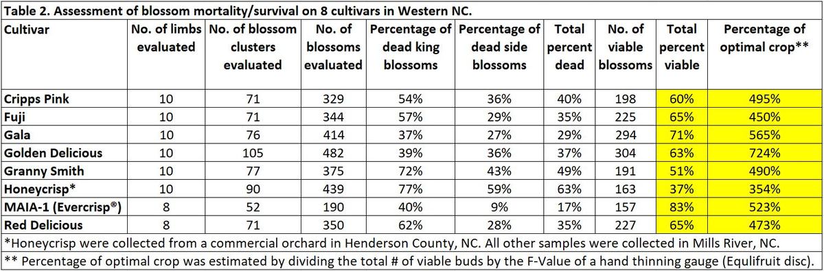 Apple bud mortality ranged between 17 to 63% depending upon cultivar. Honeycrisp had the greatest damage while MAIA-1 had the least amount of damage. Despite this injury, all eight cultivars evaluated had enough viable blossoms to set a full crop.