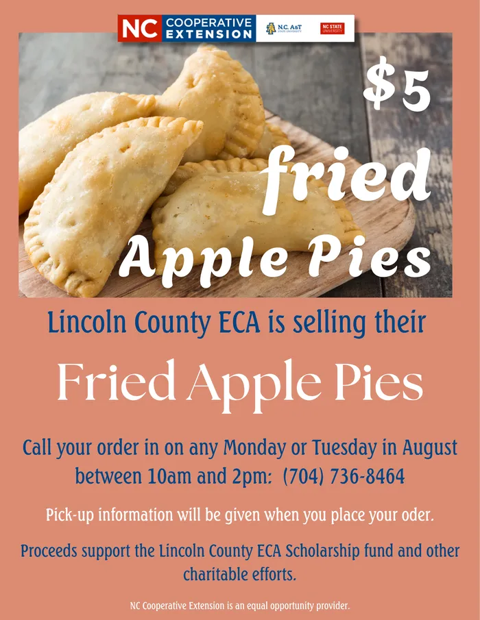 ECA's Fried Apple Pies, $5/pie, order each Monday and Tuesday in August -flyer