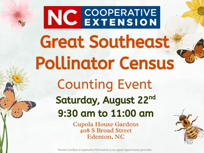 Great Southeast Pollinator Census Flyer with watercolor bees, butterflies, daisies and black-eyed susan flowers.