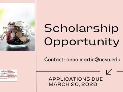 Piggy Bank with graduation hat next to a jar of coins