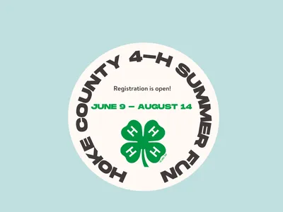 Advertising Hoke County 4-H Summer Fun registration is now open! June 9 - August 14