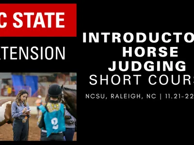 The NC State Extension logo alongside the dates of the Introductory Horse Judging Short Course (November 21-22, 2026) and a picture of a lady judging a horse in a halter class.
