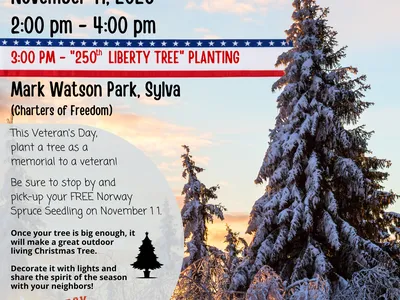 2026 JACKSON Veteran's Day Tree Give-Away