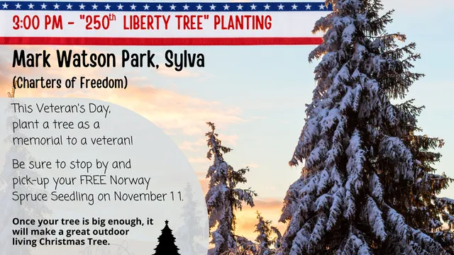 2026 JACKSON Veteran's Day Tree Give-Away