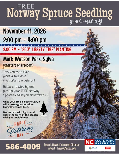 2026 JACKSON Veteran's Day Tree Give-Away
