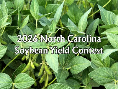 2026 North Carolina Soybean Yield Contest