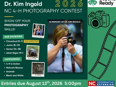 Information for the 2026 Kim Ingold Photography contest