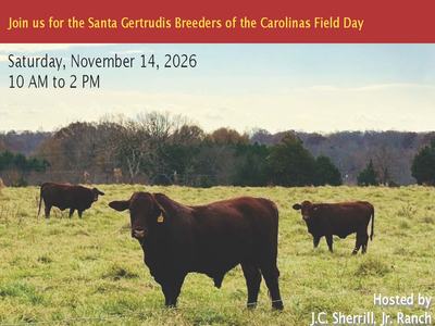 Santa Gertrudis Breeders of the Carolinas Field Day