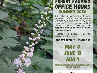 Flier: Forest farming office hours summer 2026. Join the Appalachian Forest Farmer Coalition and NC State University for this virtual Q&A session via Zoom. May 8, June 12, and Aug 7 from 12:1:30 pm EST. Register: https://ncsu.zoom.us/meeting/register/W86x