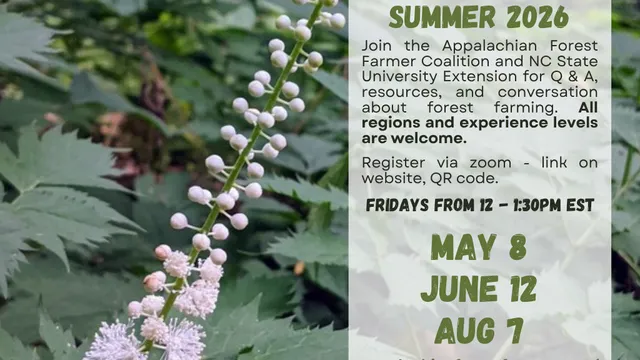 Flier: Forest farming office hours summer 2026. Join the Appalachian Forest Farmer Coalition and NC State University for this virtual Q&A session via Zoom. May 8, June 12, and Aug 7 from 12:1:30 pm EST. Register: https://ncsu.zoom.us/meeting/register/W86x