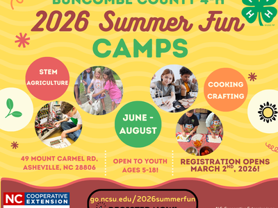 Flyer with information about the 2026 4-H Summer Fun Program
