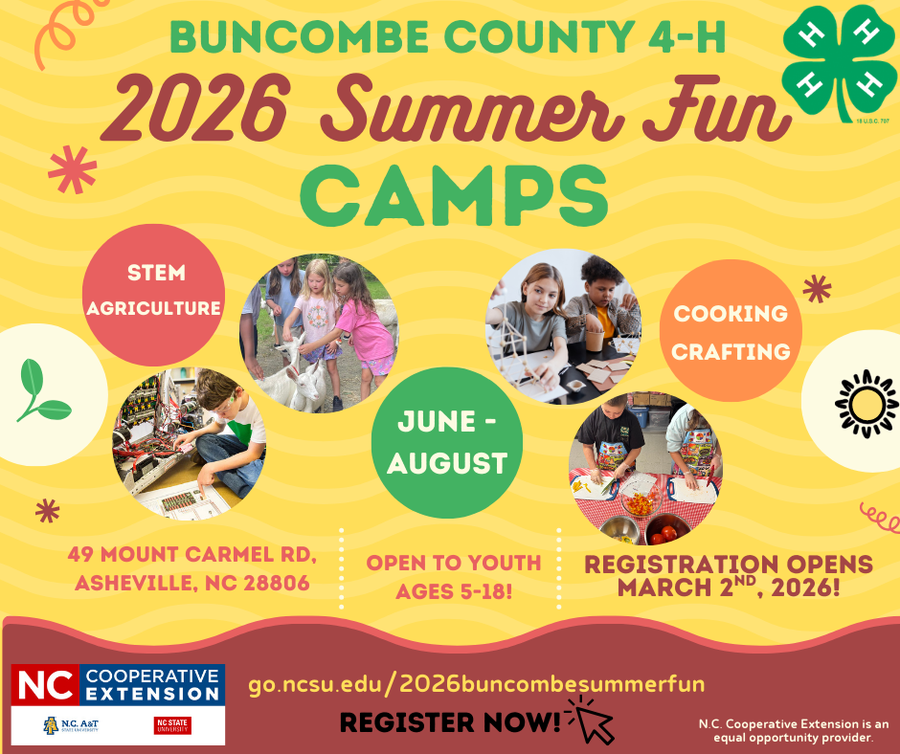 Flyer with date and times for 2026 summer fun