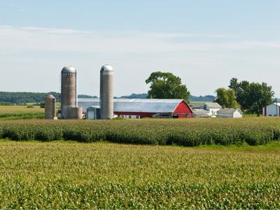 Picture of a field with farm house and barns in the background.