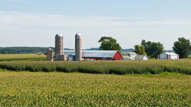 Picture of a field with farm house and barns in the background.