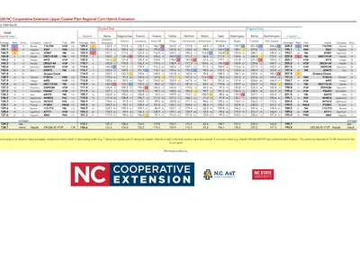 A detailed data table summarizing dry yield results in bushels per acre (bu/A) for the 2026 NC Cooperative Extension Upper Coastal Plain Regional Corn Hybrid Evaluation across multiple dryland and irrigated test sites, featuring logos for NCCE, NCSU, NCAT