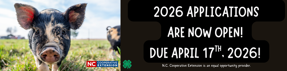 2026 WNC Market Hog Applications are now Open! Due April 17th, 2026.