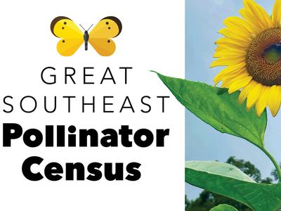 GSEPC logo and sunflower with 2 bees
